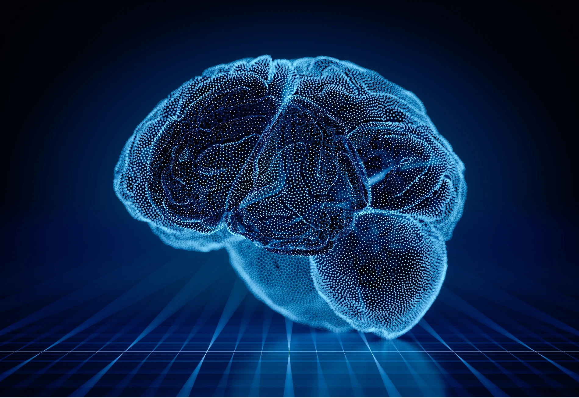 Nervous System Regulation